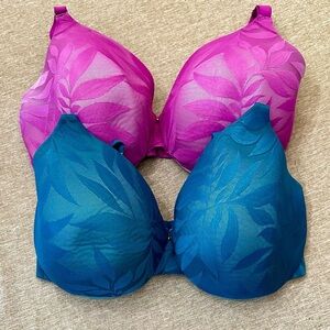 Cacique 40H Bra Bundle